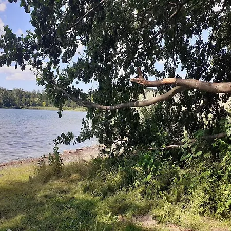 Fuer 8 Personen In *