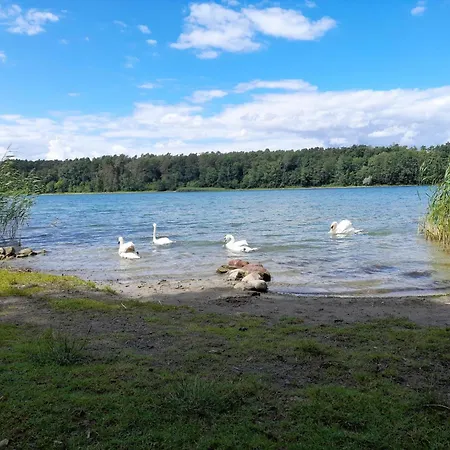 Fuer 8 Personen In Strausberg