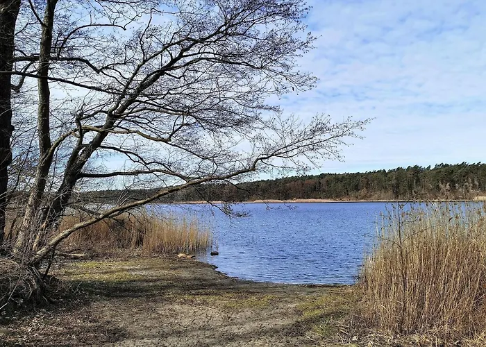 Fuer 8 Personen In *