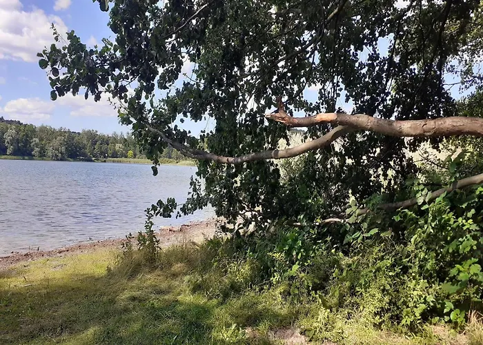 Fuer 8 Personen In *