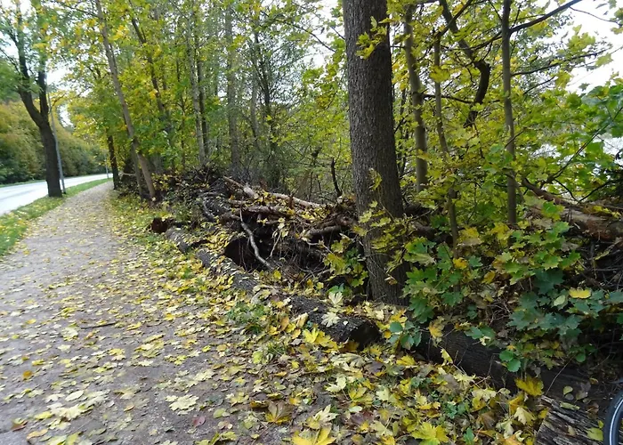 Fuer 8 Personen In شقة *